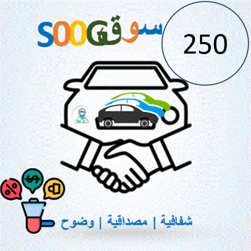 باقة 250 نقطة