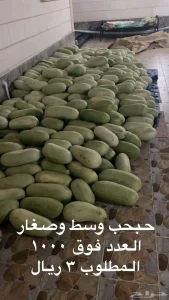 حبحب عثري