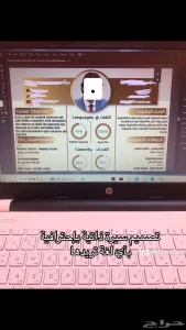 سيرة ذاتية احترافية CV