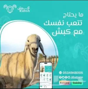 عرض الحري البلدي الطازج