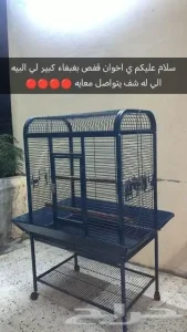 قفص بغبغاء كبير