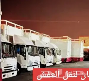 شركة نقل عفش الرياض الدمام القصيم حائل وجميع مدن المملكة