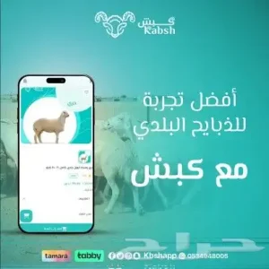 ذبايح بلدي طاازج