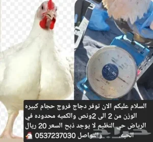 فروج للبيع وزن من كيلوين الى كلوين ونص في الرياض حي النظيم